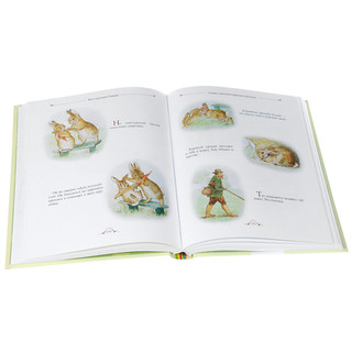 Все о кролике Питере 2