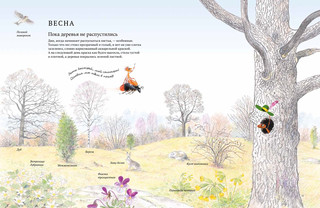 Экспедиция Софи 2