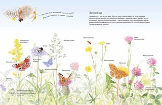 Экспедиция Софи 4