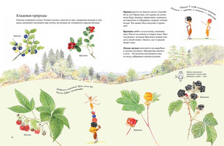 Экспедиция Софи 5