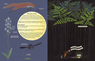 Экспедиция Софи 6