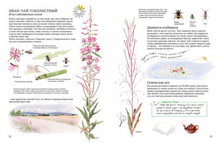 Софи в мире цветов 2