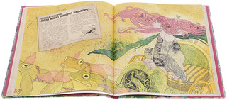 Книга, найденная в кувшинке 4