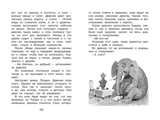 Белый пудель 7