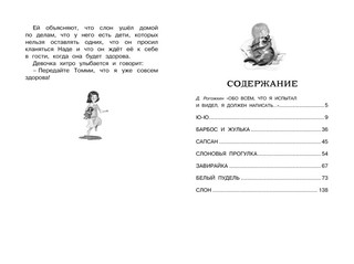 Белый пудель 8