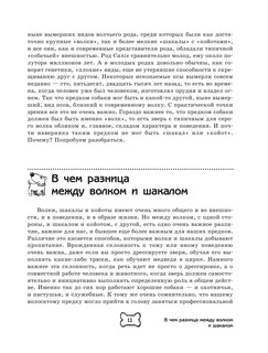 Собака. Полное руководство по дрессировке и уходу 13