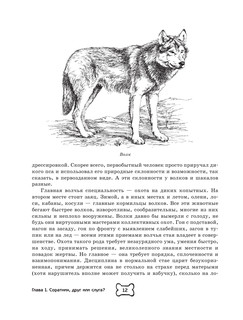 Собака. Полное руководство по дрессировке и уходу 14