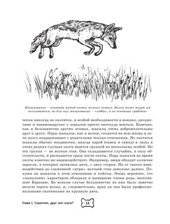 Собака. Полное руководство по дрессировке и уходу 16