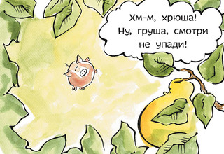 Дом для лис 8