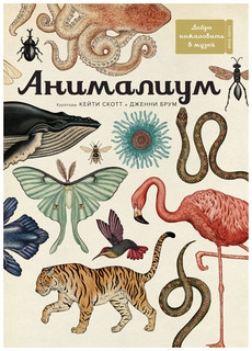 Анималиум 1