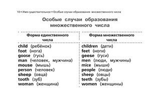 Все правила английского языка в схемах и таблицах для начальной школы 11