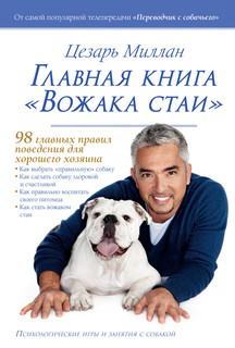 Главная книга 
