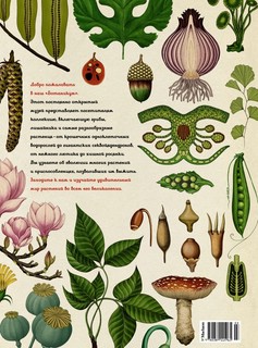 Ботаникум 4