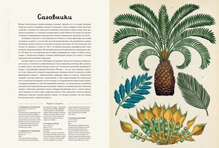 Ботаникум 2