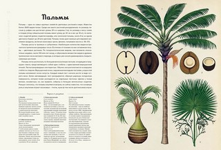 Ботаникум 3