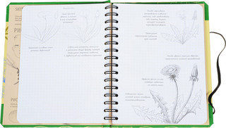 Sketchbook. Рисуем цветы. Экспресс-курс рисования 2