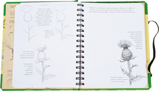 Sketchbook. Рисуем цветы. Экспресс-курс рисования 3