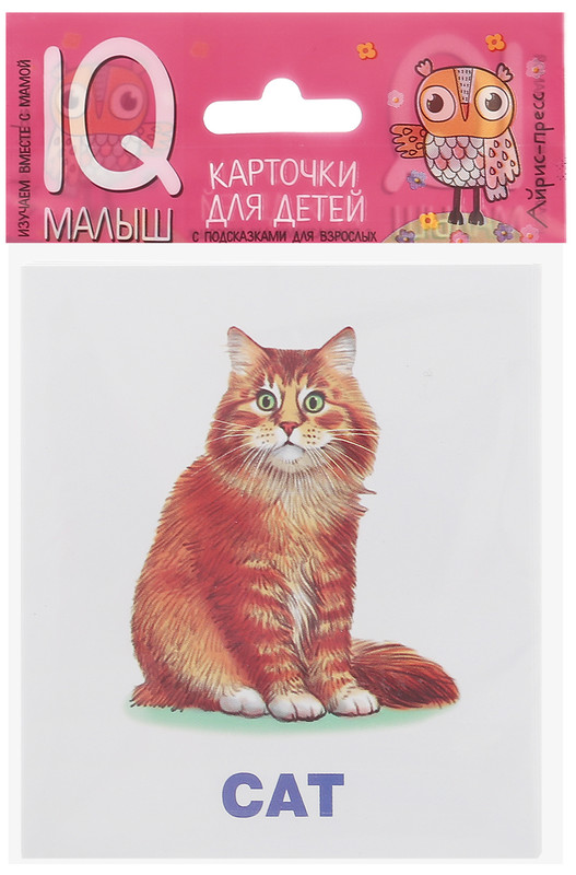 Айрис-пресс Обучающие карточки English Домашние питомцы