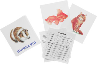 Айрис-пресс Обучающие карточки English Домашние питомцы 2