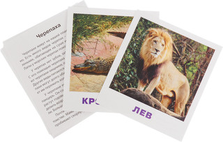 Умный малыш. Животные жарких стран. Набор карточек для детей 2