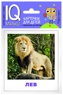 Умный малыш. Животные жарких стран. Набор карточек для детей