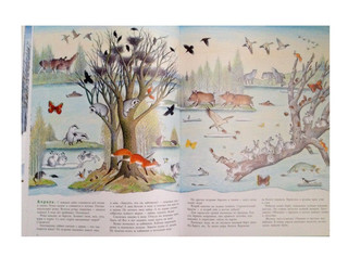 В лесу. Зима. Весна. Лето. Осень 4