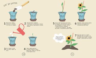 Огород на подоконнике 2