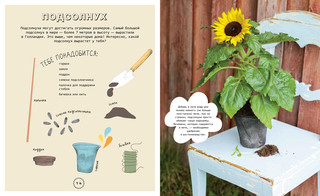 Огород на подоконнике 3