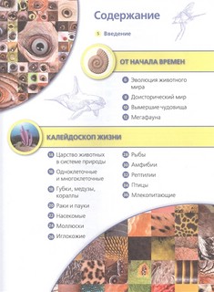 1001 удивительный факт о животных 2