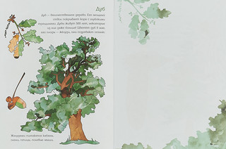 Мой первый гербарий. Цветы и листья 2