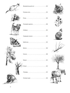 Самоучитель по рисованию. Шаг за шагом +видеокурс 2