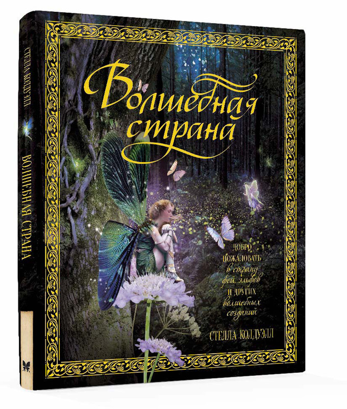Эльфы и феи книга махаон. Читать книгу феи. Волшебные феи книга. Книга фея. Книга фея.