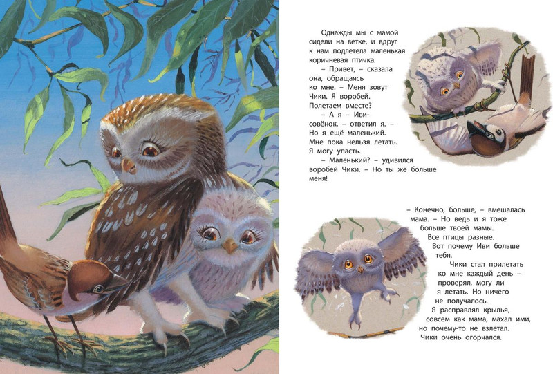 Детская книжка про сов. Алмазная мозаика - филин. Про совенка сказка. Книжка мама всегда рядом. Как говорит сова.