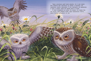 Мама всегда рядом 6