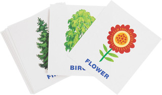 English Растения. Обучающие карточки для детей