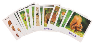 Кто живет в лесу? Обучающие карточки для детей 2