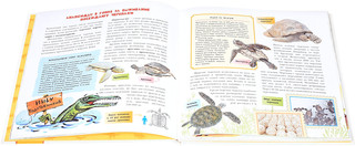 Динозавры. Самые последние новости о доисторических животных. Детская энциклопедия 4