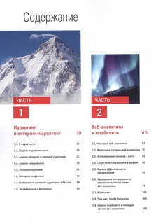 Интернет-маркетинг и digital-стратегии. Принципы эффективного использования. Учебное пособие 2
