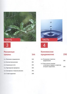 Интернет-маркетинг и digital-стратегии. Принципы эффективного использования. Учебное пособие 3