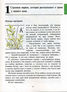 Зеленые страницы 4