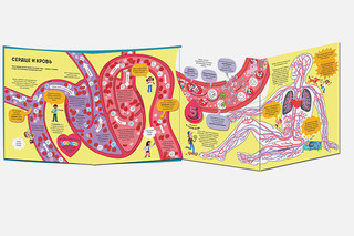 Большая книга о теле человека 2