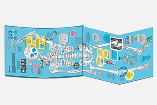 Большая книга о теле человека 3