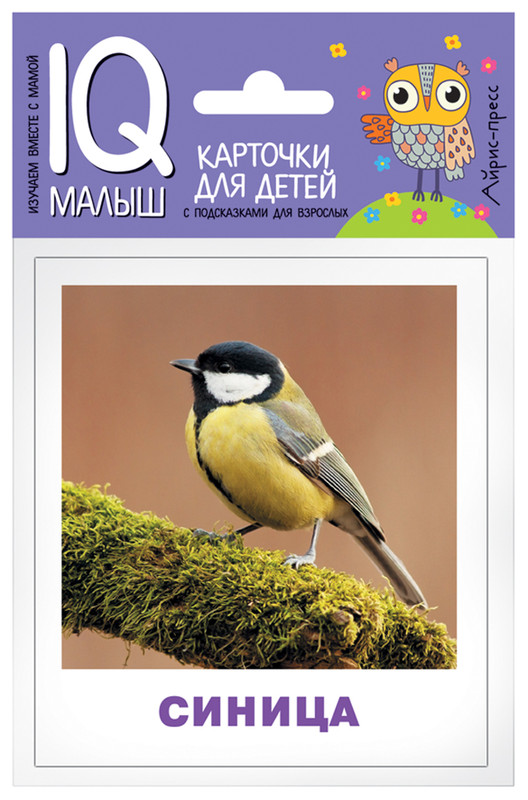 Птицы. Обучающие карточки для детей