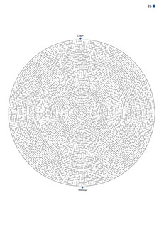 Невероятные лабиринты. 30 уникальных и сложнейших головоломок 8