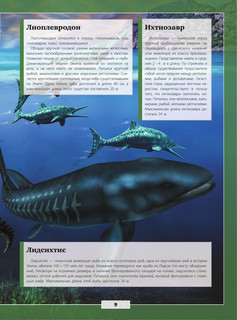 Подводный мир 10