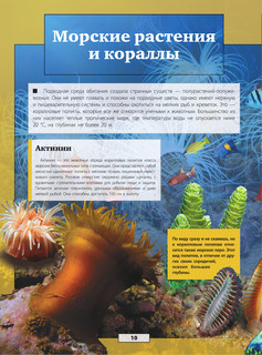 Подводный мир 11