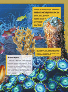 Подводный мир 12