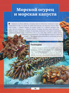 Подводный мир 13