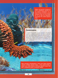 Подводный мир 14