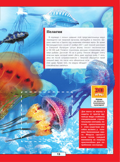 Подводный мир 16